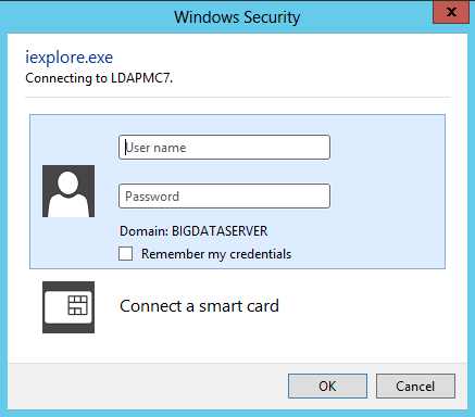 Login Prompt